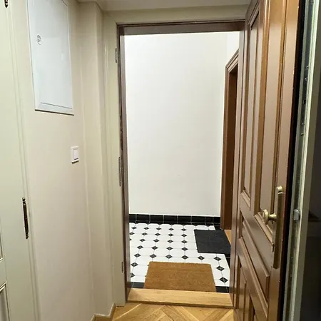 Newly Renovated In Wenceslas Square Daire Prag